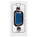 LG-078777-WEB-F-CH.jpg