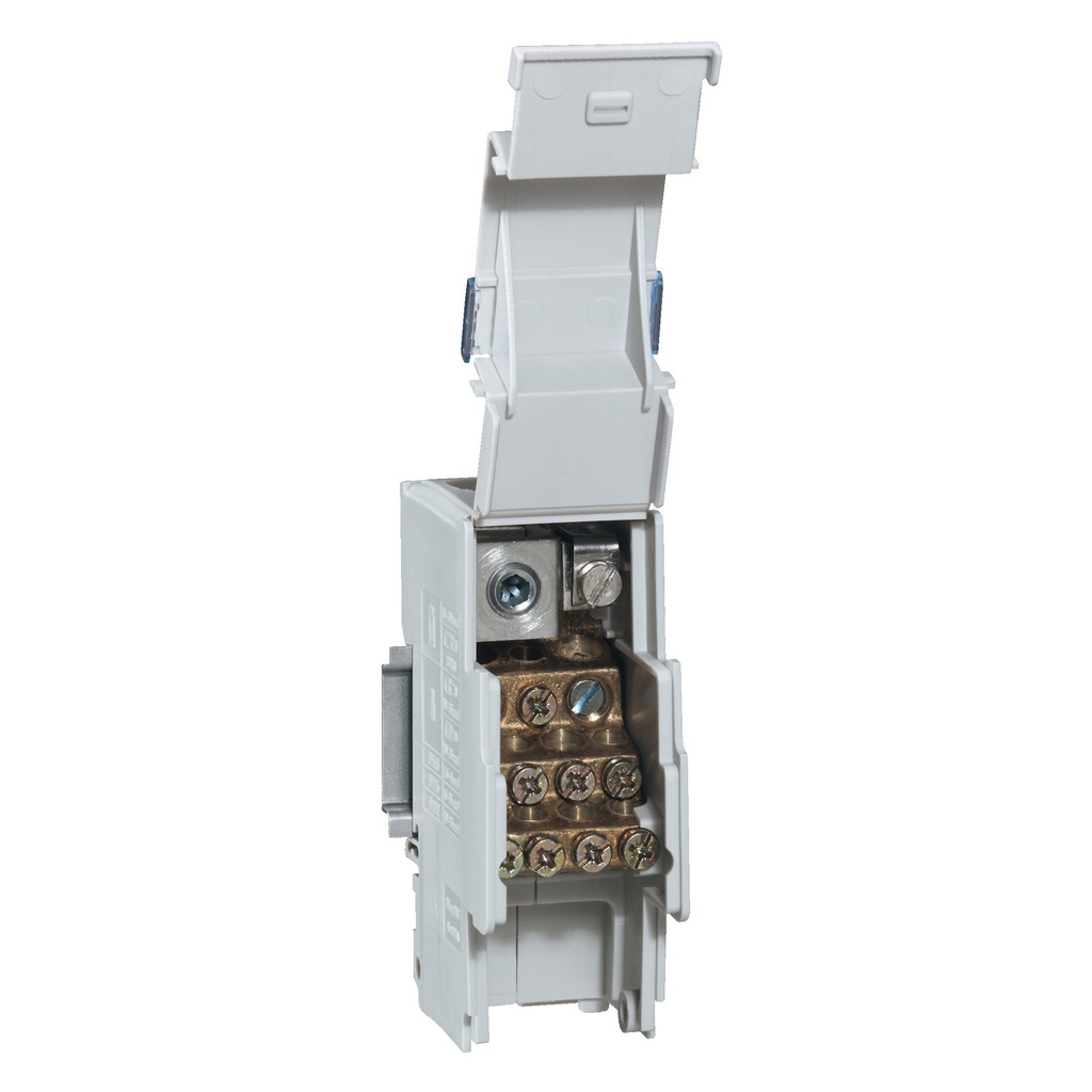 LG-004873-WEB-R-CH.jpg