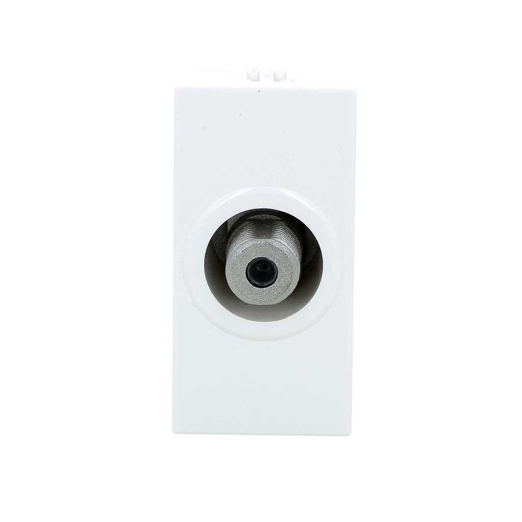 LG-078790-WEB-F.jpg