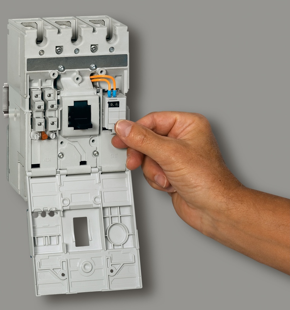 LG-420205-WEB-DECO.jpg