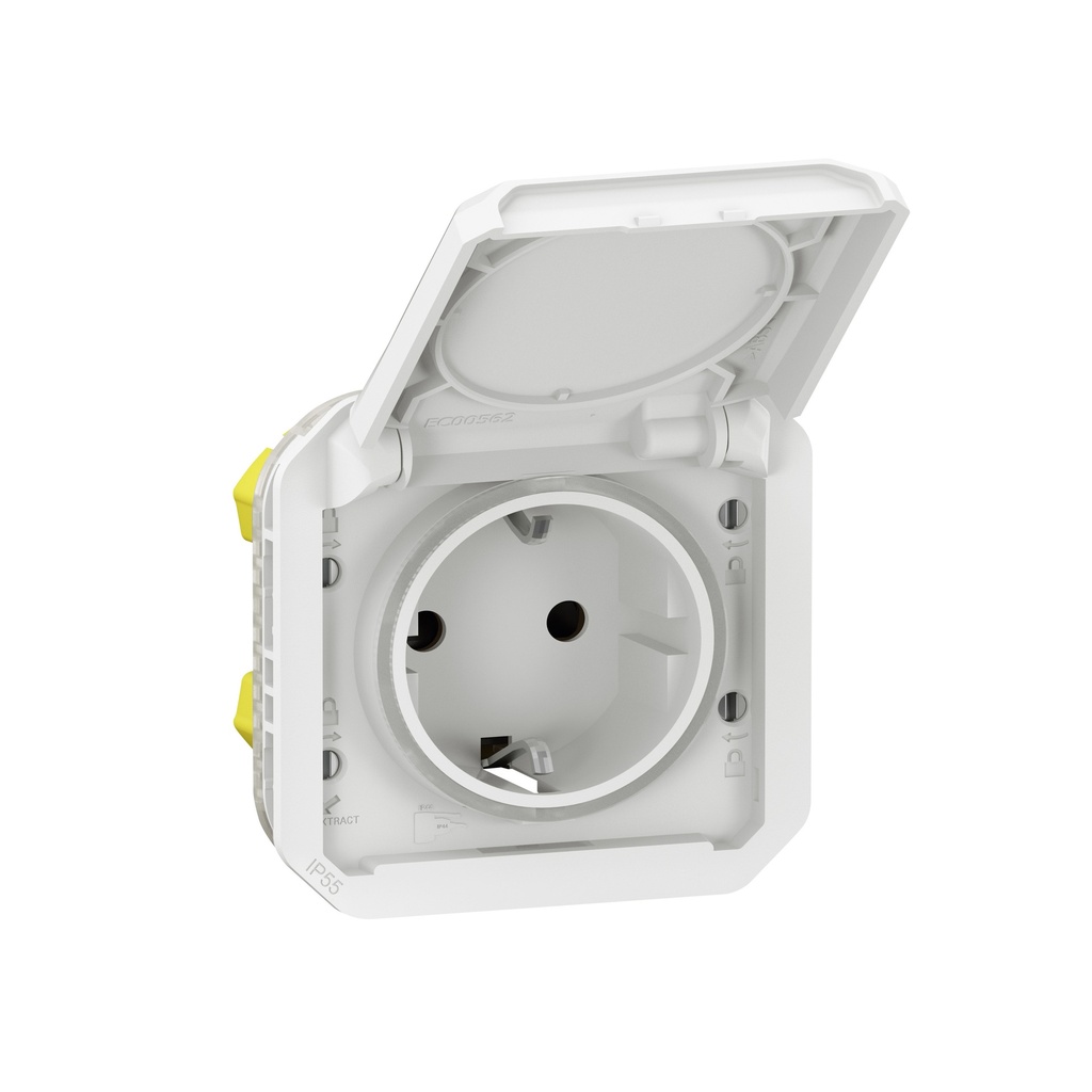 LG-069640L-WEB-R.jpg