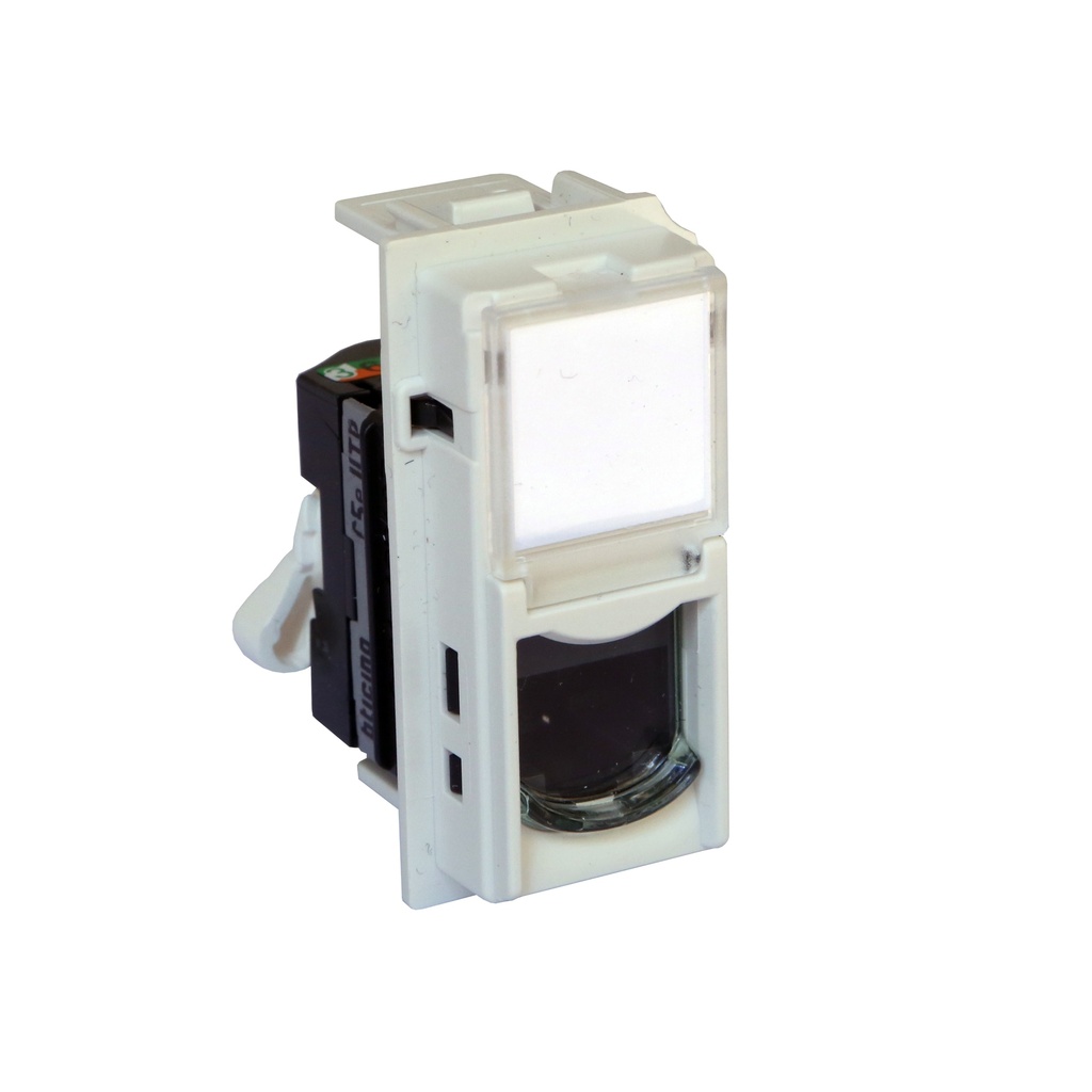 BT-KW4279C5E-WEB-R.jpg
