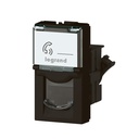 LG-079162L-WEB-L.jpg