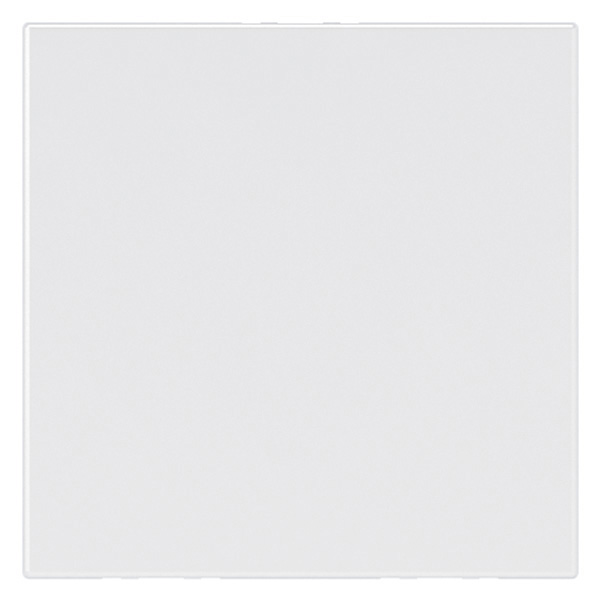 Празен модул 2 мод. цвят бял Mosaic NEW Legrand