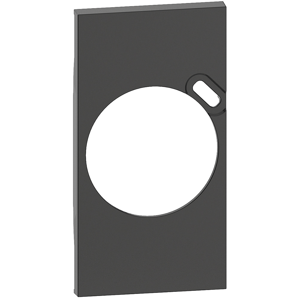 Лицев панел за контакт френски стандарт с USB тип C 2 мод. цвят Черен Living Now Bticino