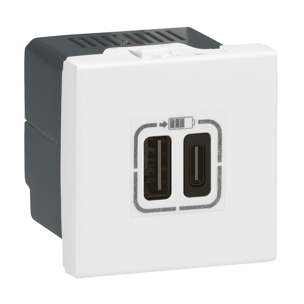 Розетка 2хUSB за зареждане тип A+C 3A 15W 2 мод. цвят Бял Mosaic Legrand