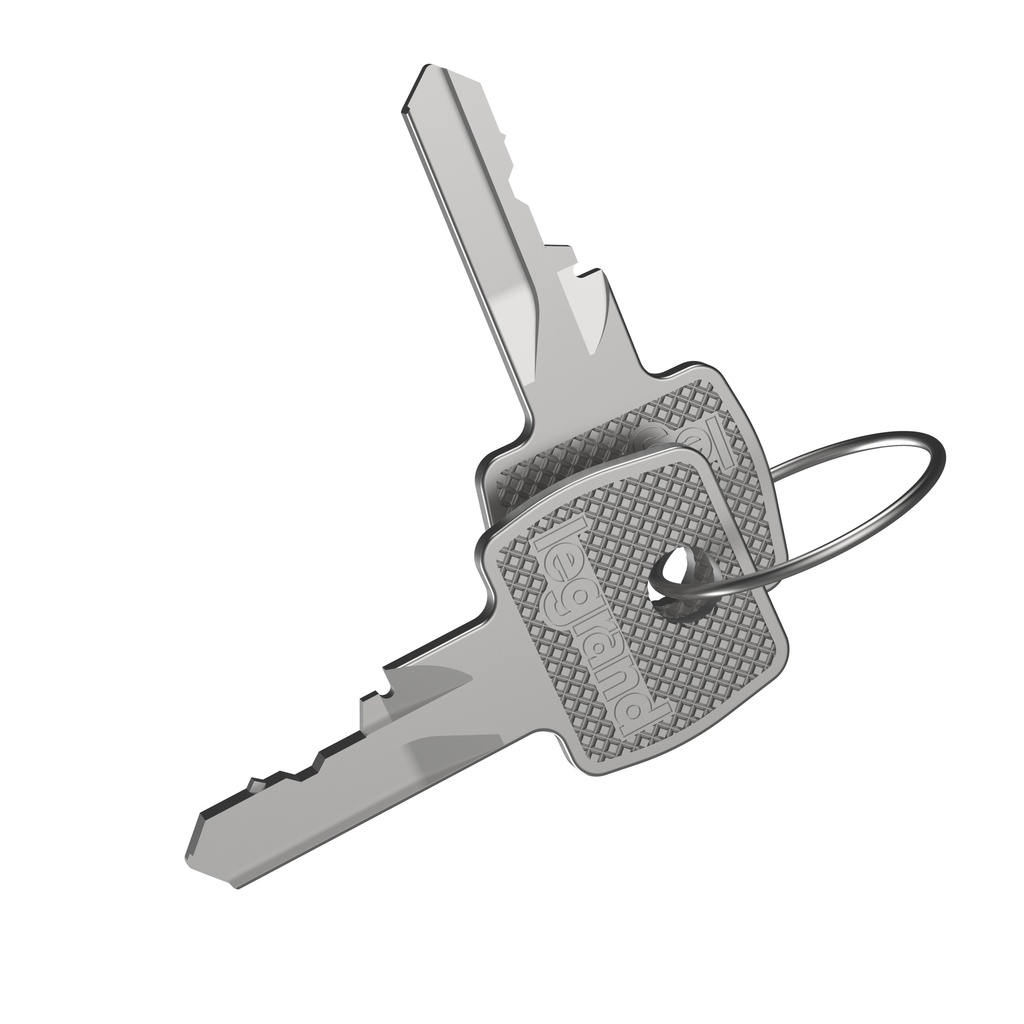 Ключ 2433 A (2) Legrand