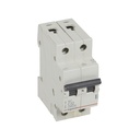 Автоматичен прекъсвач RX3 2P 32A крива С 6kA Legrand